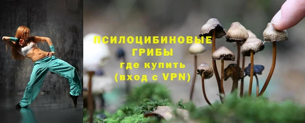 хмурый Рославль