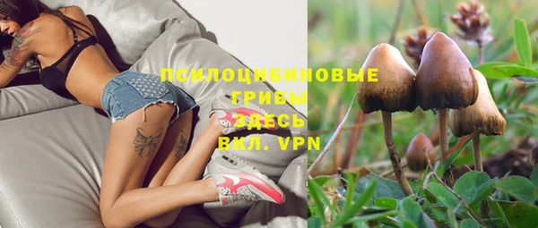 тгк Балахна